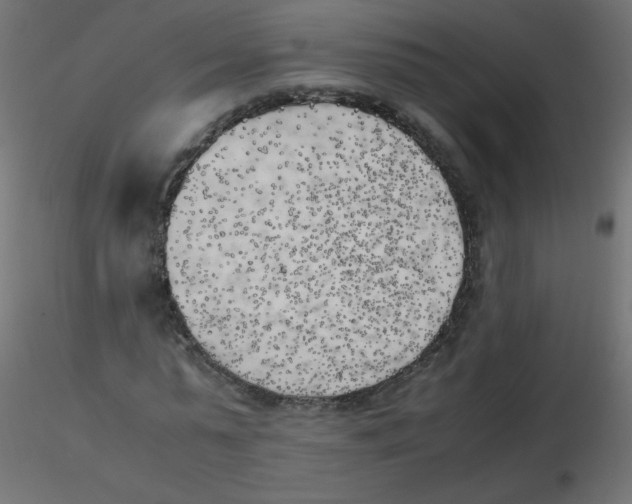 X0000116620775200912312138