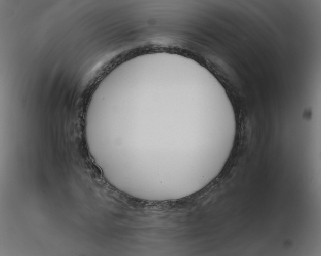 X0000116620776200912312138