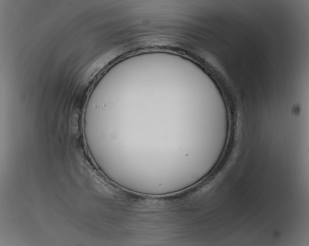 X0000116620777200912312138