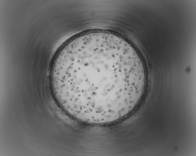 X0000116620779200912312138