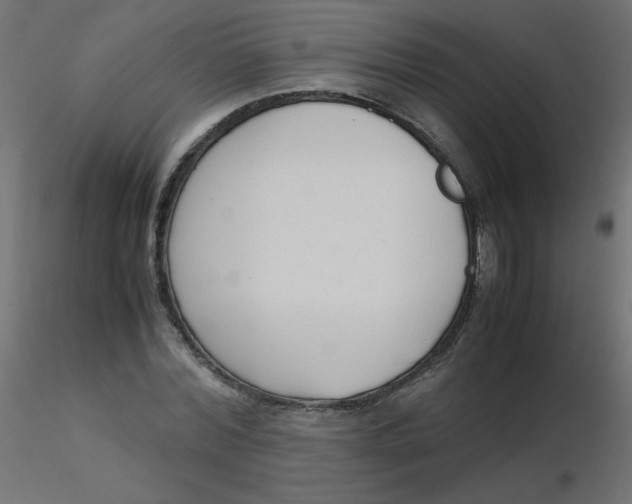 X0000116620780200912312138