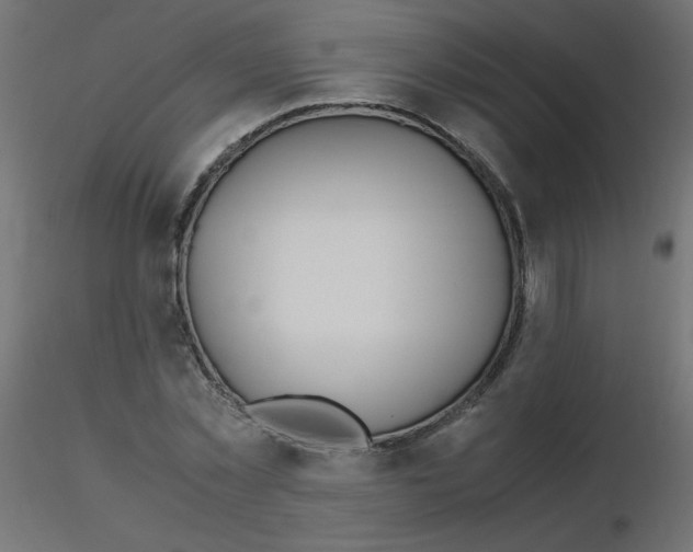 X0000116620781200912312138