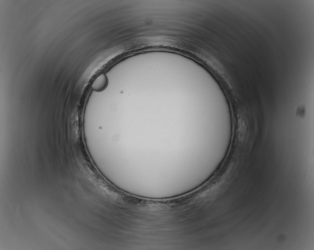 X0000116620782200912312138