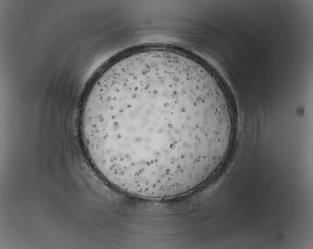 X0000116620783200912312138