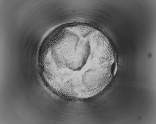 X0000116620784200912312138