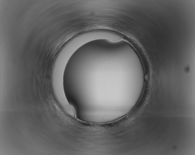 X0000116620785200912312138