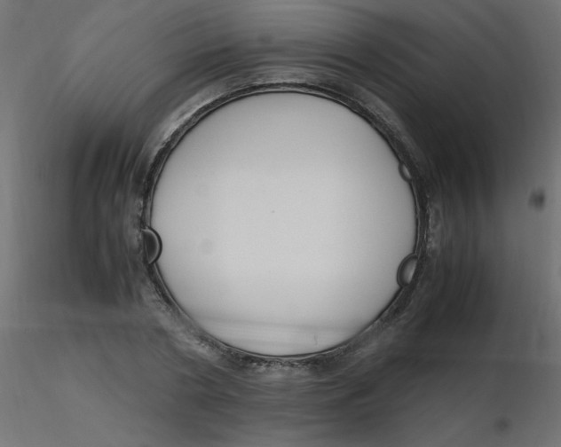 X0000116620786200912312138