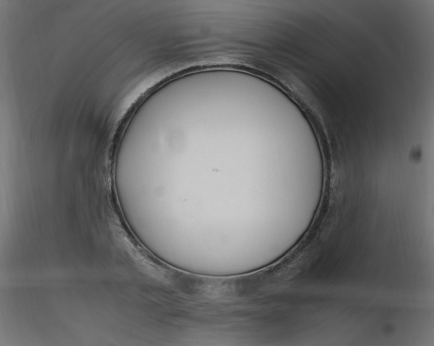 X0000116620789200912312138