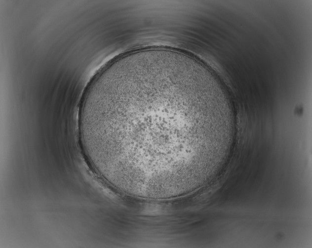 X0000116620790200912312138