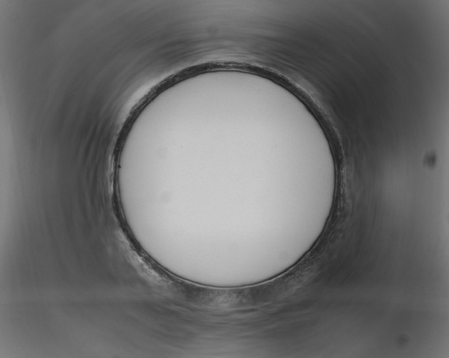 X0000116620791200912312138