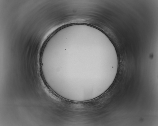 X0000116620792200912312138