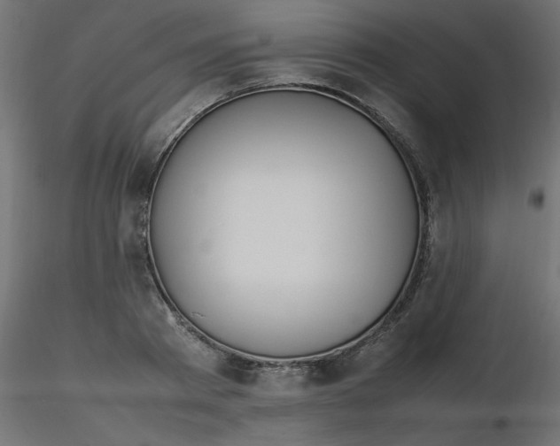 X0000116620793200912312138