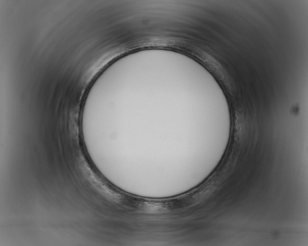 X0000116620794200912312138