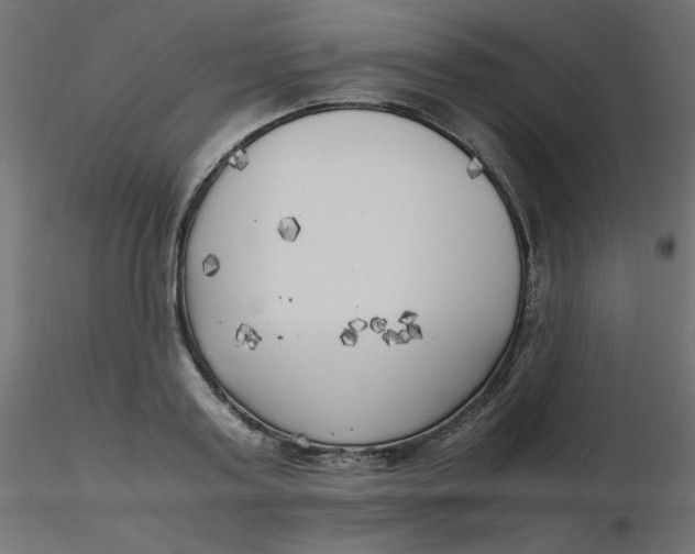 X0000116620795200912312138