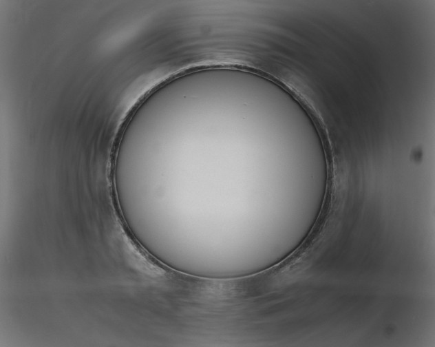 X0000116620797200912312138