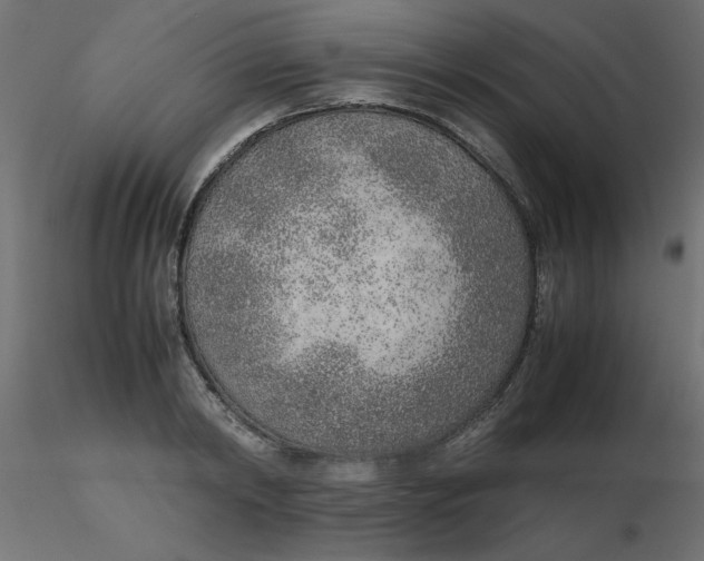 X0000116620798200912312138