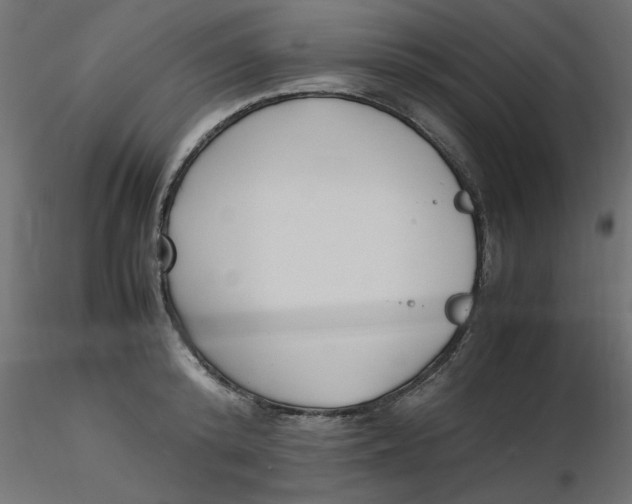 X0000116620800200912312138