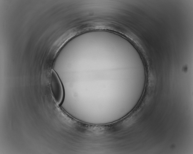 X0000116620801200912312138