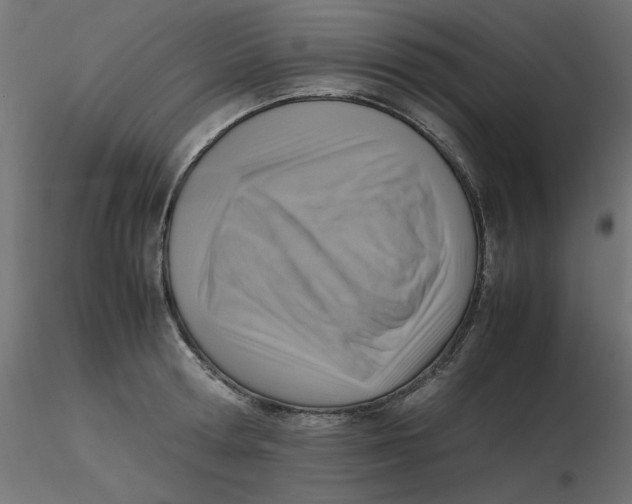 X0000116620802200912312138