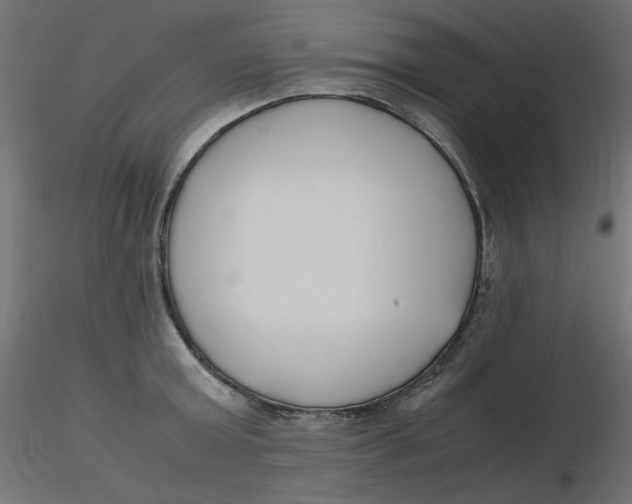 X0000116620803200912312137