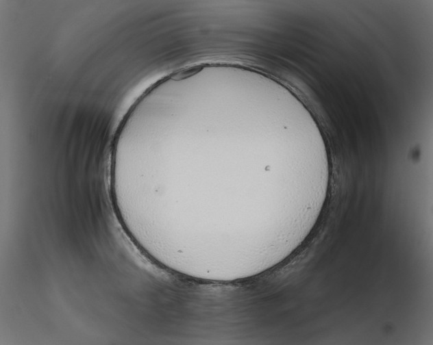 X0000116620804200912312137