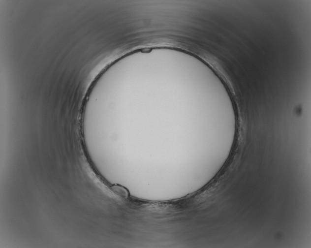 X0000116620805200912312137