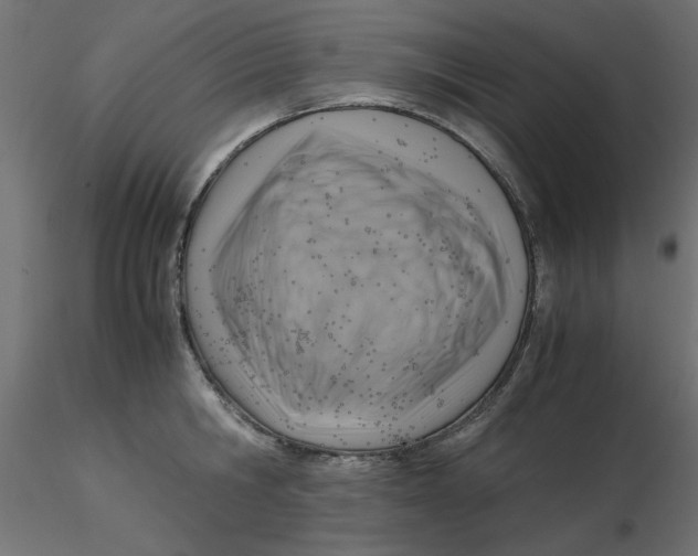 X0000116620806200912312137