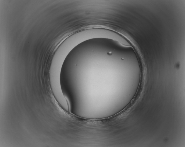 X0000116620809200912312137