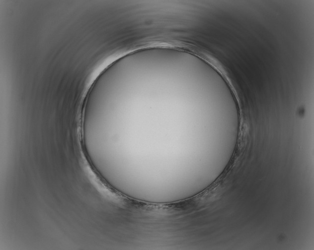 X0000116620811200912312137