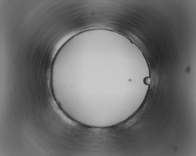 X0000116620812200912312137