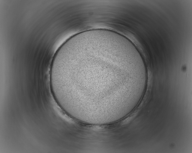 X0000116620814200912312137