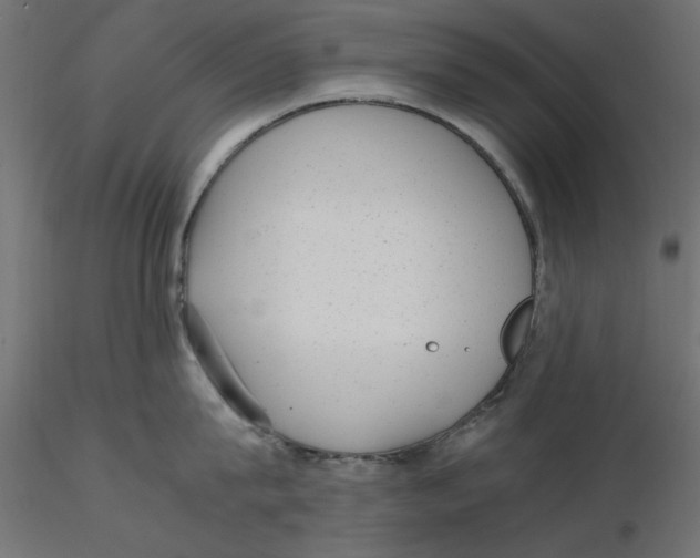 X0000116620815200912312137