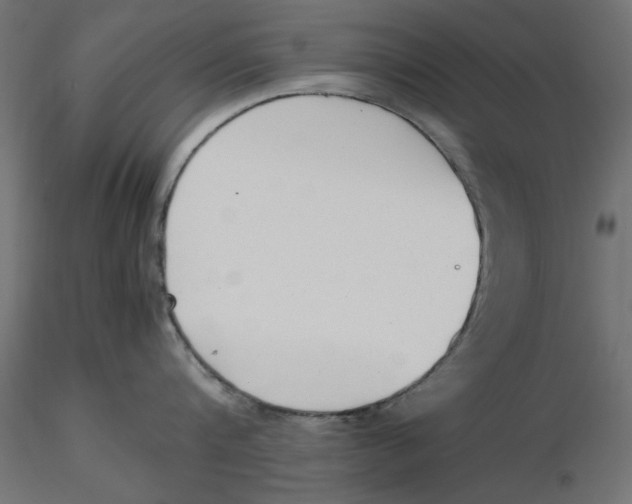 X0000116620816200912312137