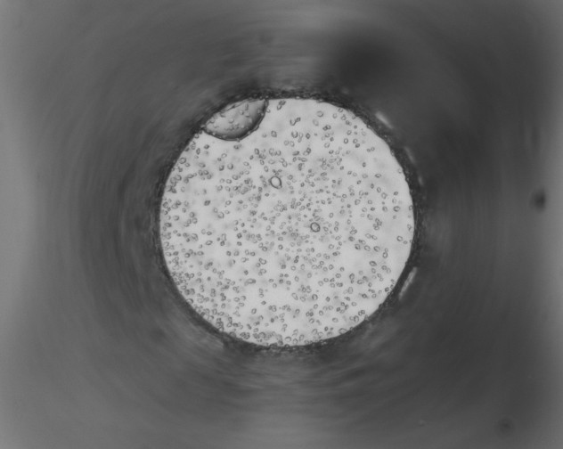 X0000116620817200912312137