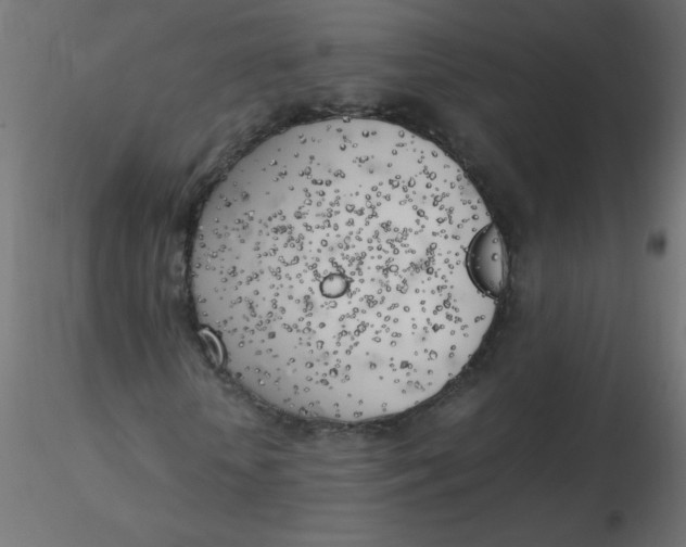 X0000116620818200912312137