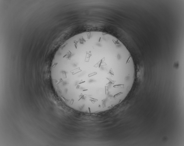 X0000116620819200912312137