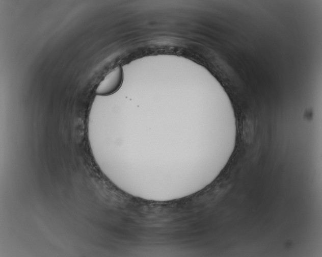 X0000116620821200912312137