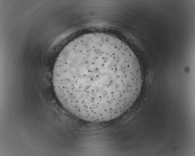 X0000116620822200912312137