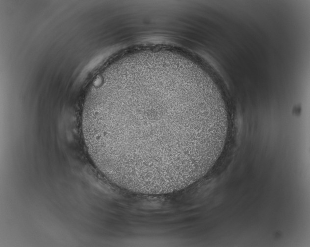 X0000116620823200912312137