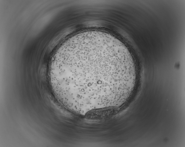 X0000116620825200912312137