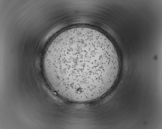 X0000116620826200912312137