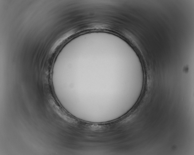 X0000116620827200912312137