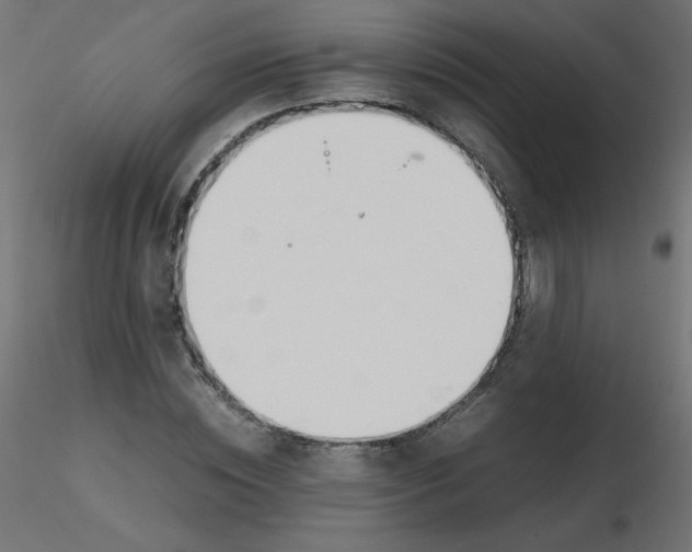 X0000116620828200912312137