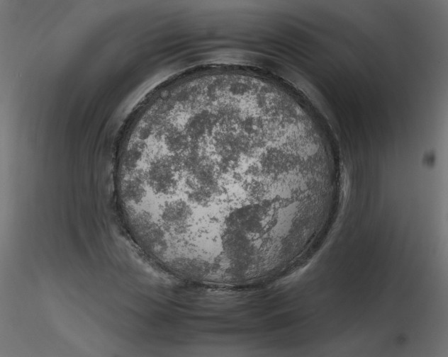 X0000116620829200912312137