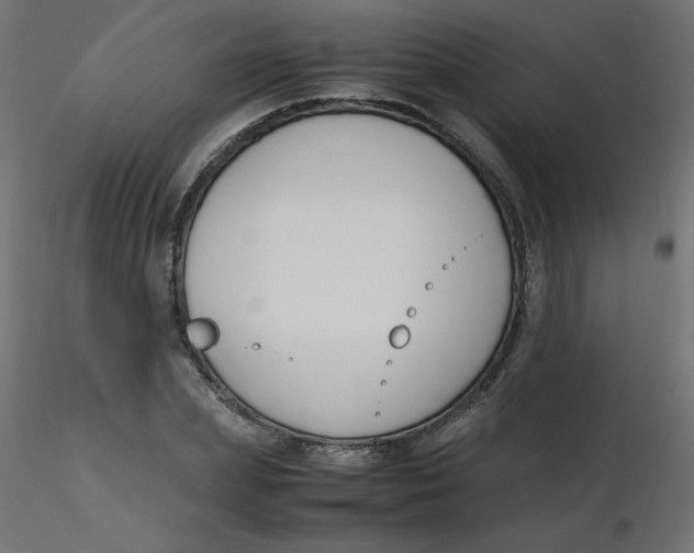 X0000116620831200912312137