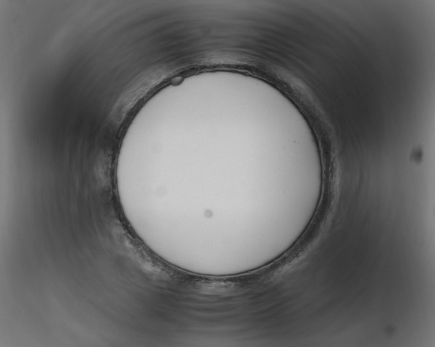 X0000116620833200912312137