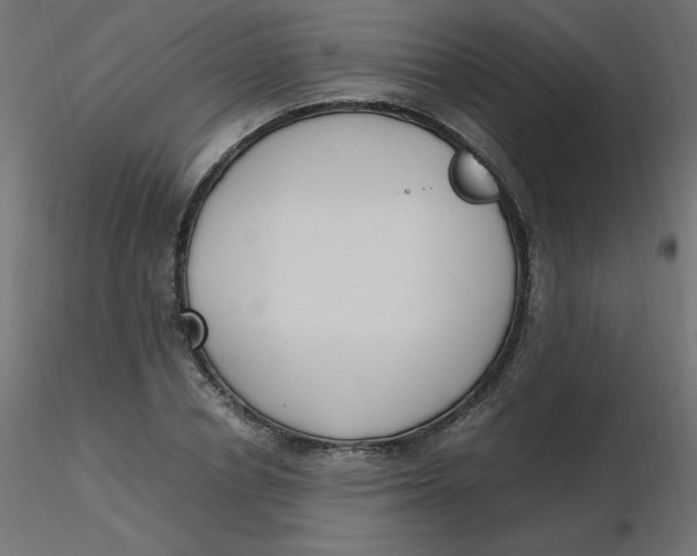 X0000116620834200912312137