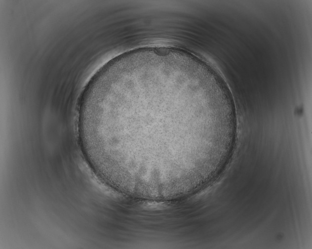 X0000116620835200912312137