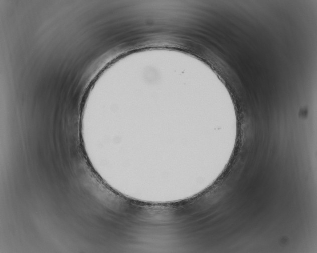 X0000116620836200912312137