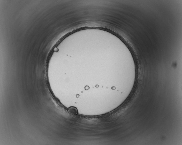 X0000116620837200912312137